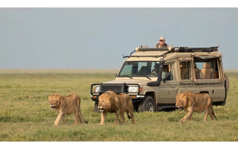 When is the best time for a safari in Tanzania?