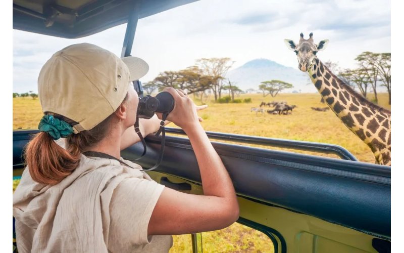 What to expect on a safari in Tanzania?