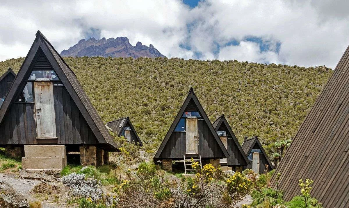 Mandara Hut to Horombo Hut