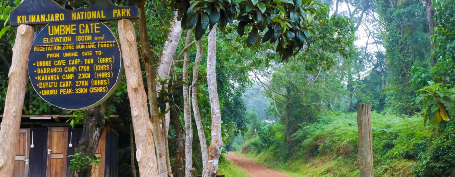 Umbwe Gate to Umbwe Cave Camp