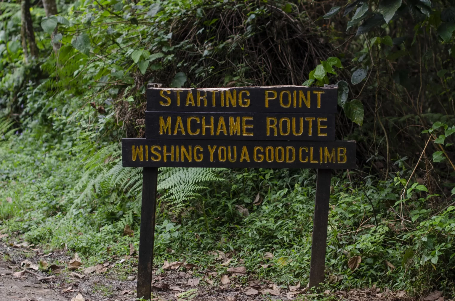 Machame Gate to Machame Camp