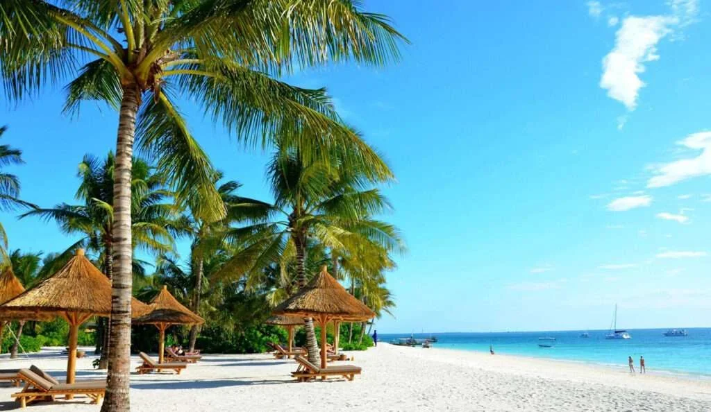 7-Days Tanzania Safari & Zanzibar Beach Experience